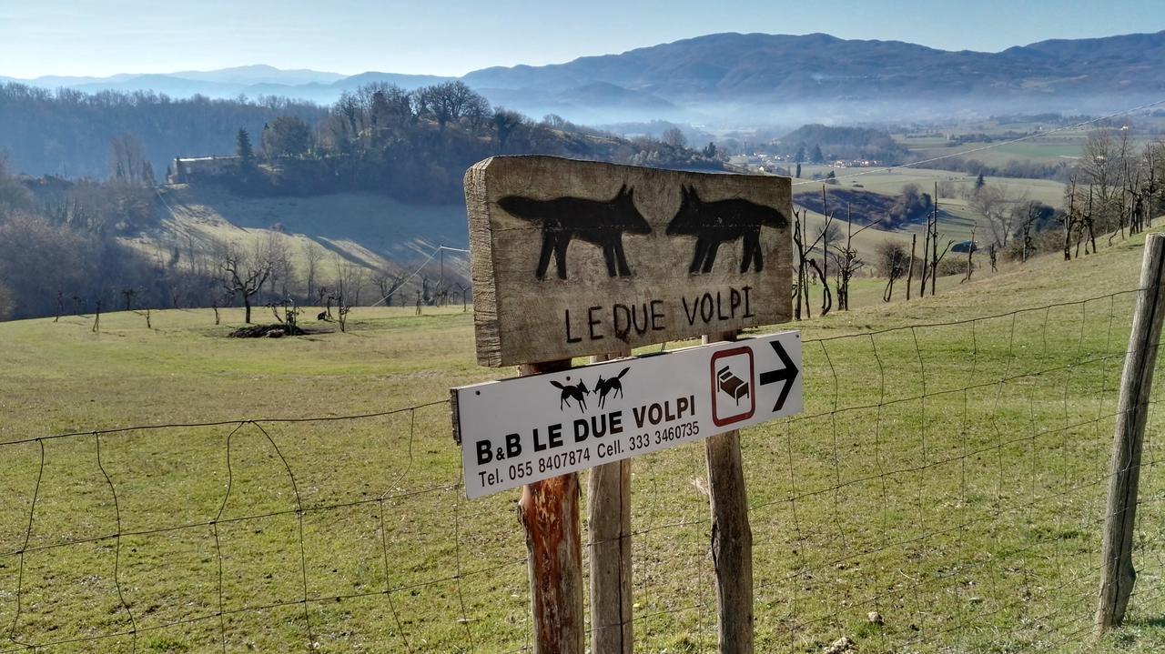 B&B Le Due Volpi 维基奥 外观 照片