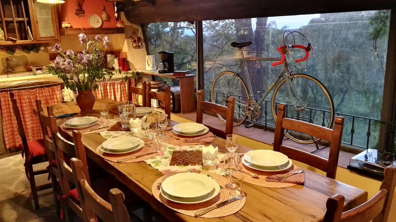 B&B Le Due Volpi 维基奥 外观 照片